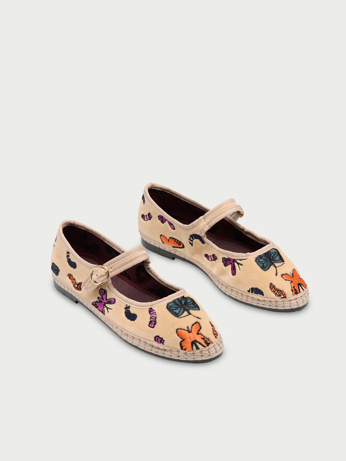 Butterflies & caterpillars - Image 3